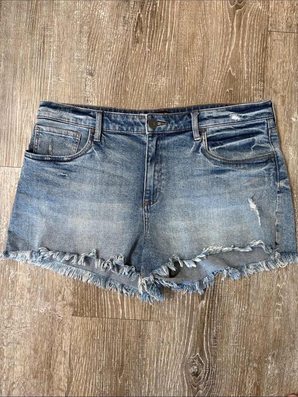 Kut from the Kloth Jane High Rise Shorts